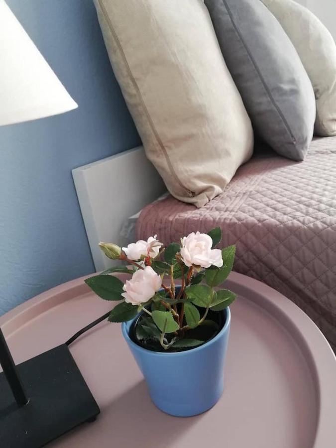 The Rose Apartment Волос Экстерьер фото